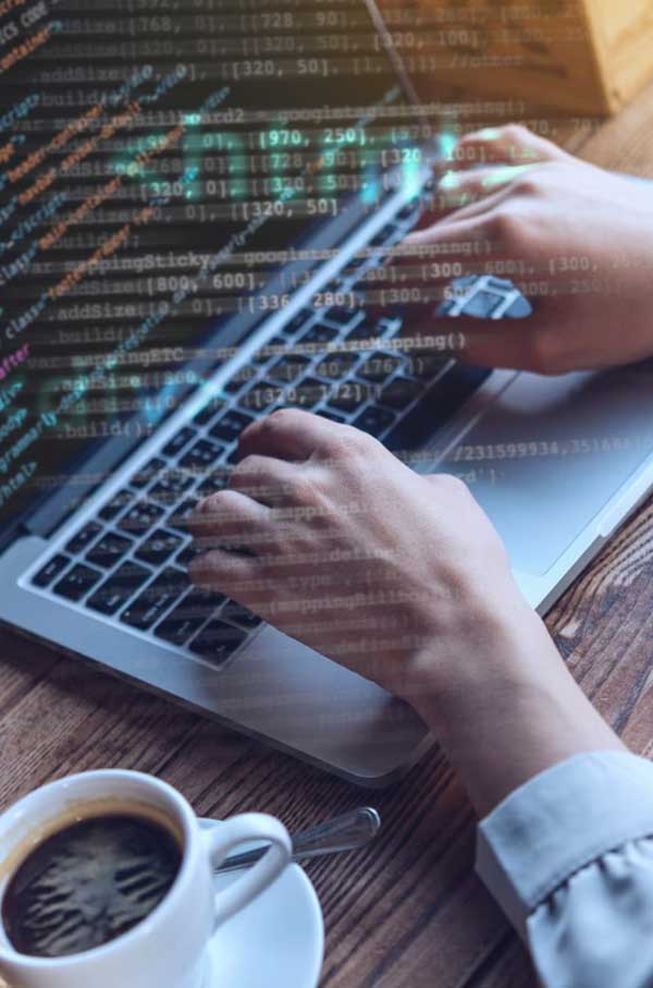 Freelance WordPress web development service
